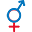 Store Favicon