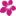 Store Favicon