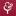 Store Favicon
