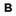 Store Favicon