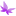Store Favicon