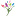 Store Favicon