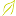 Store Favicon
