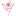 Store Favicon