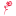 Store Favicon