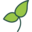 Store Favicon