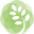 Store Favicon