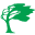 Store Favicon