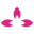 Store Favicon
