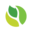 Store Favicon