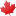 Store Favicon