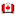 Store Favicon