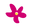 Store Favicon