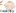 Store Favicon