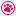 Store Favicon