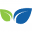 Store Favicon