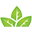 Store Favicon