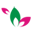 Store Favicon