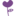 Store Favicon
