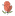 Store Favicon