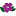 Store Favicon
