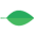 Store Favicon