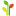 Store Favicon