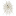 Store Favicon
