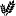 Store Favicon