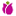 Store Favicon