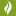 Store Favicon