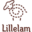Store Favicon