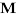 Store Favicon