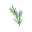 Store Favicon