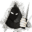 Store Favicon