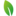 Store Favicon