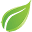 Store Favicon