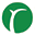 Store Favicon