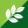 Store Favicon