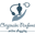 Store Favicon