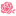 Store Favicon