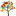 Store Favicon