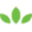 Store Favicon