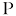 Store Favicon