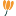 Store Favicon