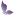 Store Favicon