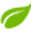 Store Favicon