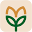 Store Favicon