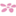 Store Favicon