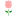 Store Favicon
